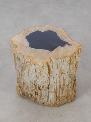 Side table petrified wood 53032