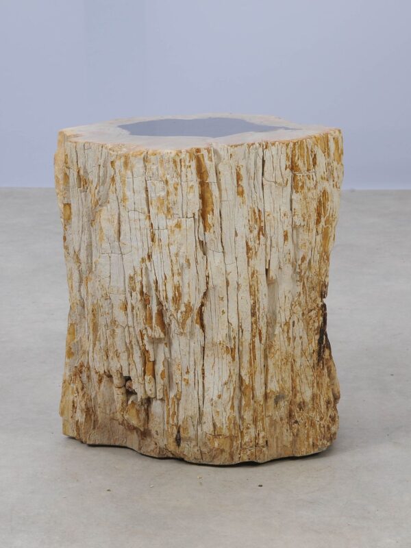 Side table petrified wood 53032