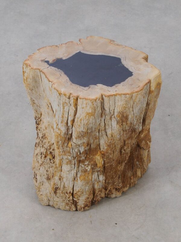 Side table petrified wood 53032