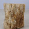 Side table petrified wood 53032