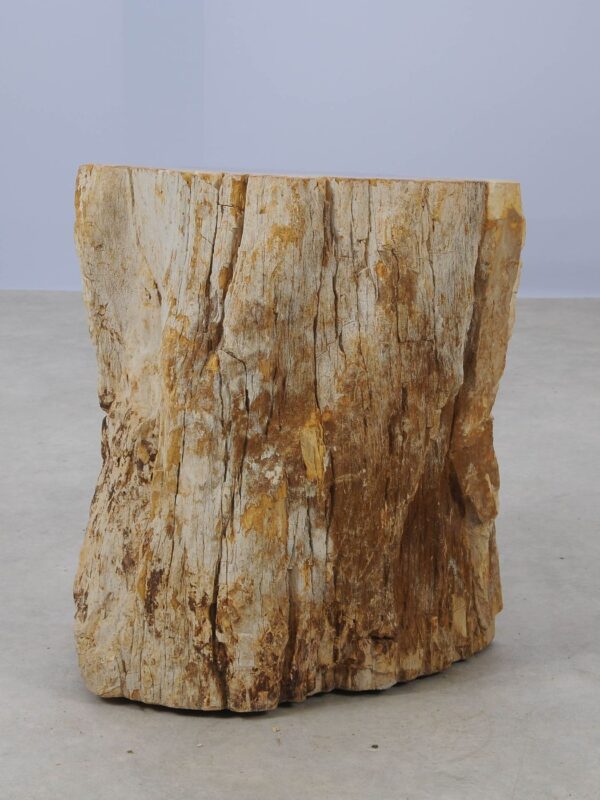 Side table petrified wood 53032