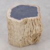 Side table petrified wood 53034