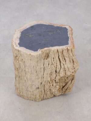 Side table petrified wood 53034