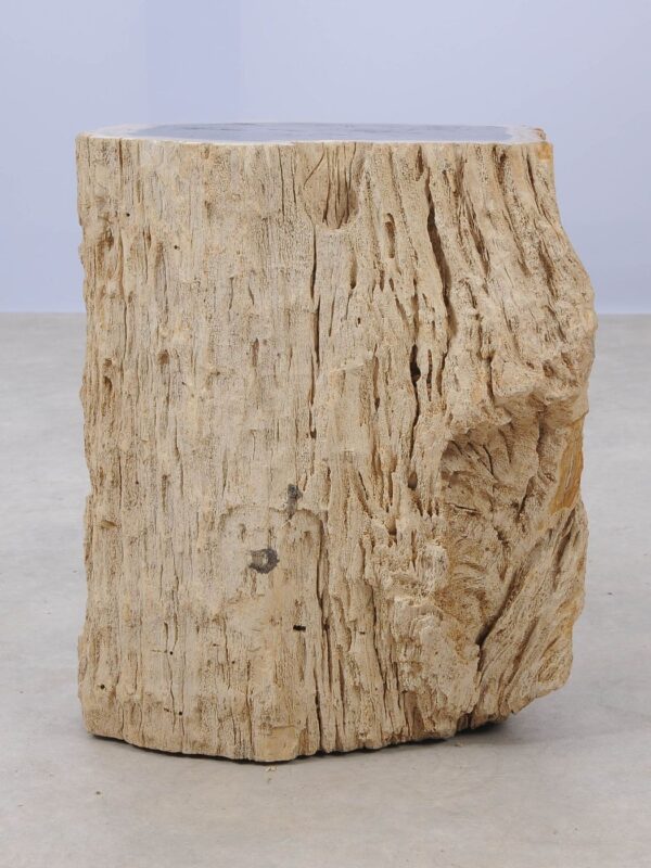 Side table petrified wood 53034