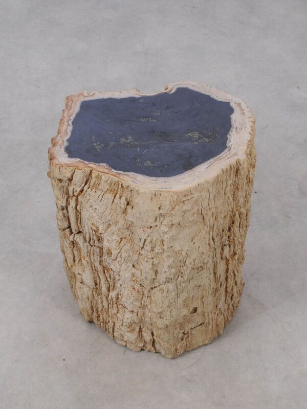 Side table petrified wood 53034