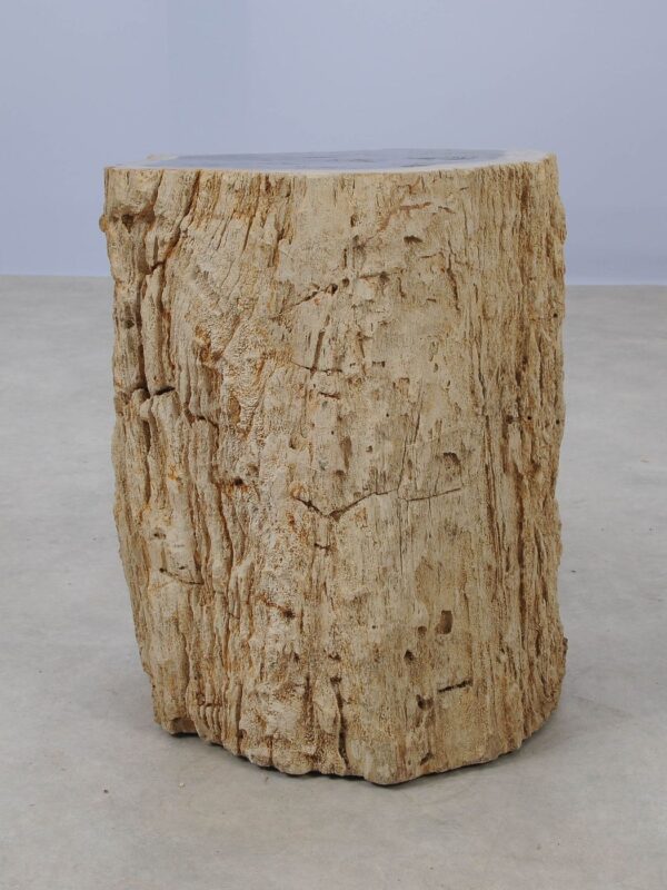 Side table petrified wood 53034