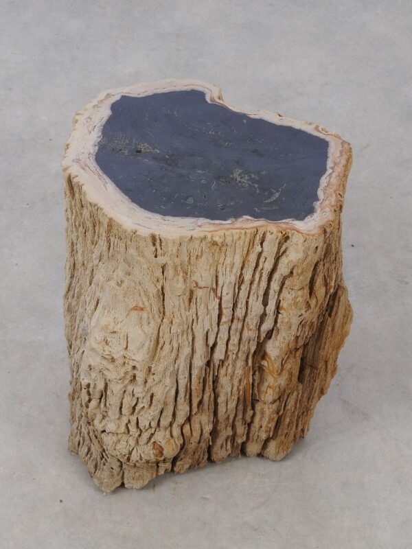 Side table petrified wood 53035