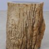 Side table petrified wood 53035