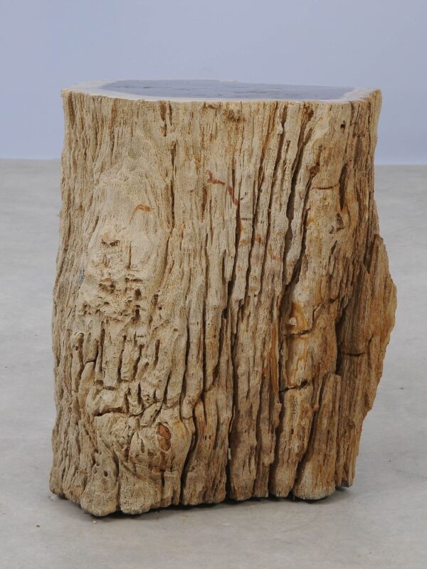 Side table petrified wood 53035