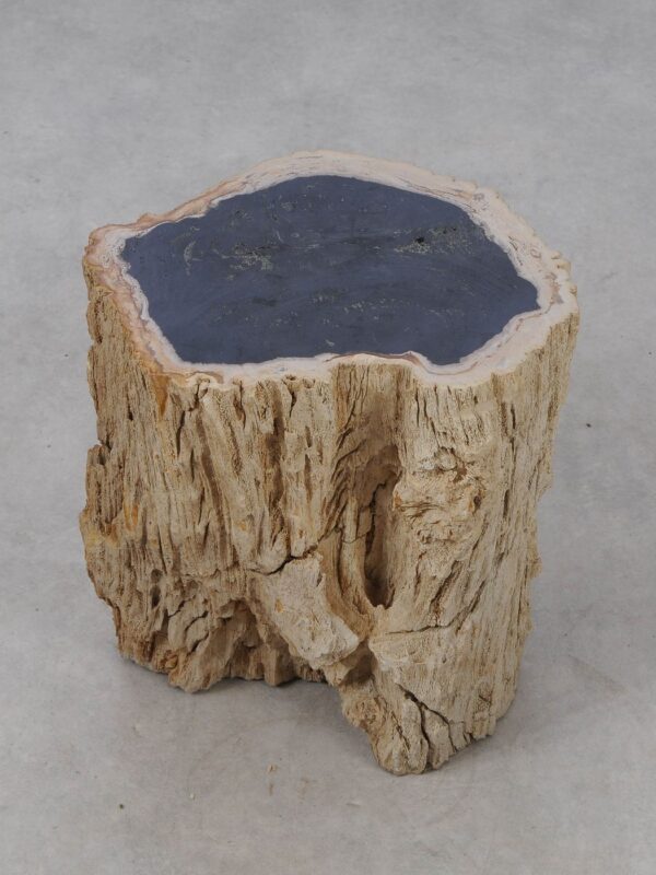 Side table petrified wood 53035