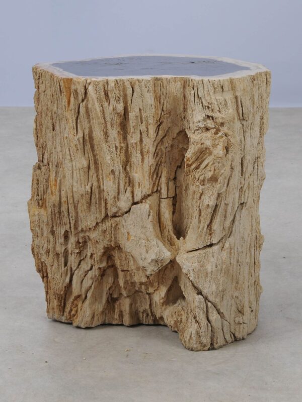 Side table petrified wood 53035