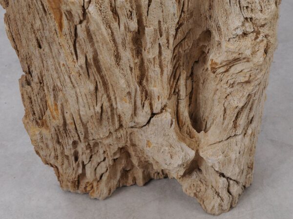 Side table petrified wood 53035