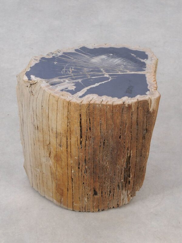 Side table petrified wood 53036