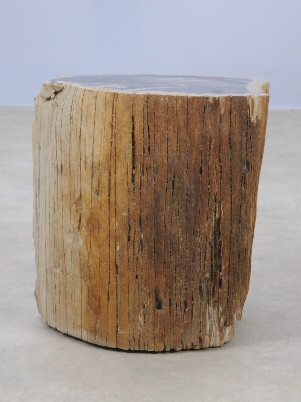 Side table petrified wood 53036