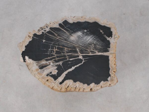 Side table petrified wood 53036