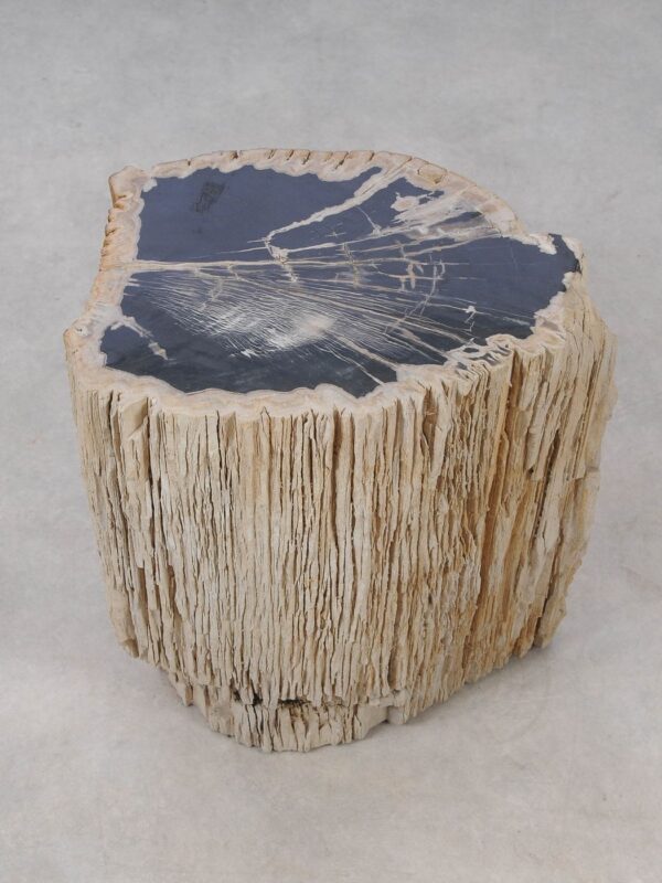 Side table petrified wood 53036