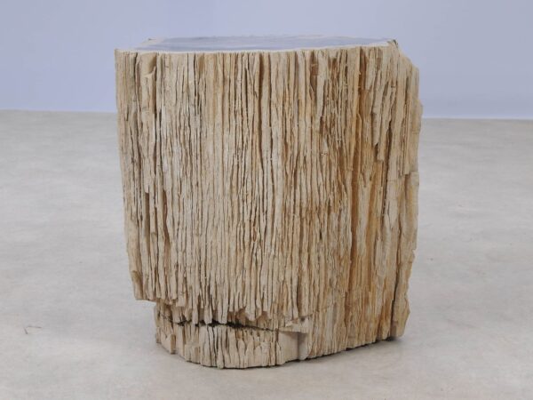 Side table petrified wood 53036