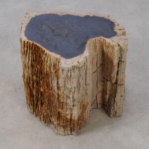 Side table petrified wood 53038