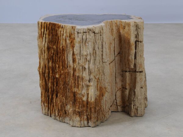 Side table petrified wood 53038