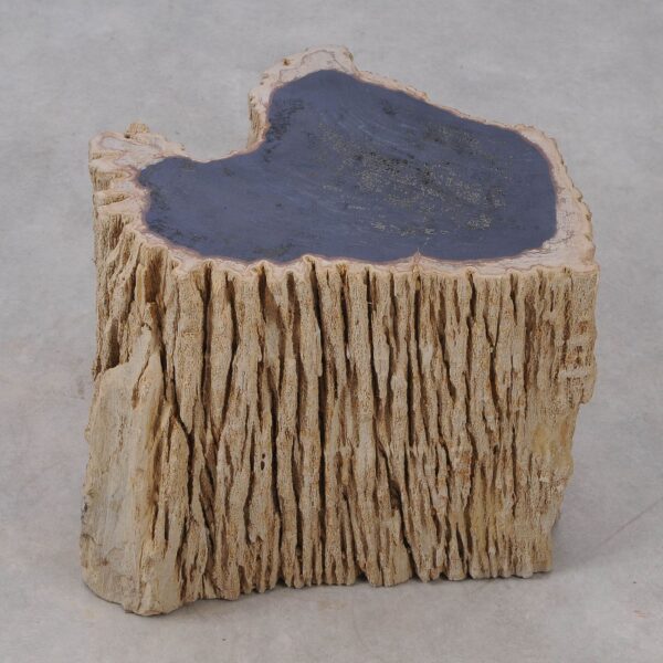 Side table petrified wood 53038