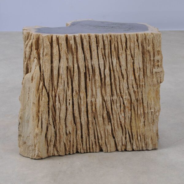 Side table petrified wood 53038