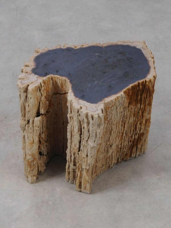 Side table petrified wood 53039