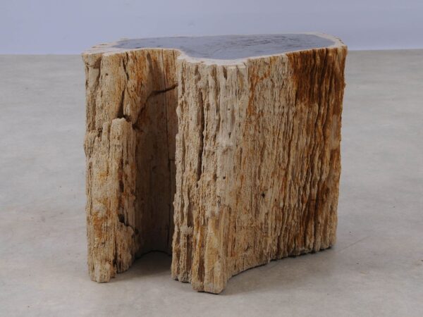 Side table petrified wood 53039