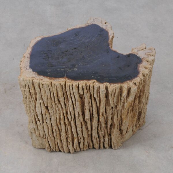 Side table petrified wood 53039