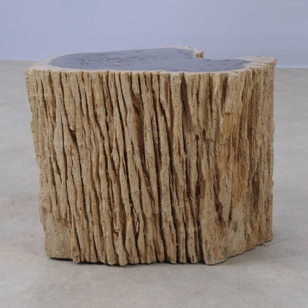 Side table petrified wood 53039