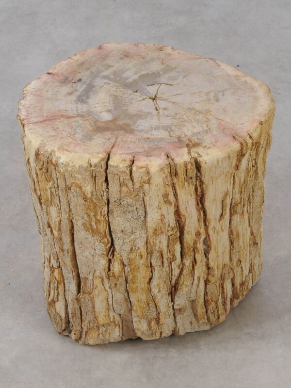 Side table petrified wood 53040