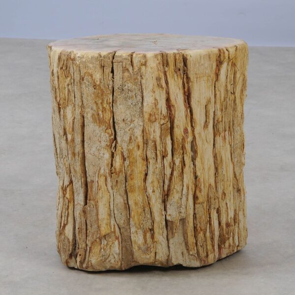 Side table petrified wood 53040