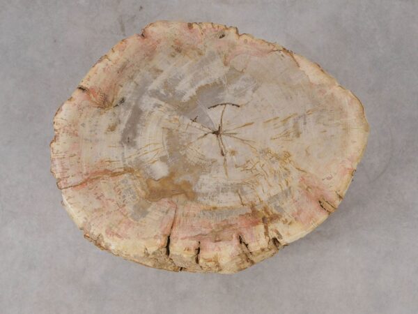 Side table petrified wood 53040