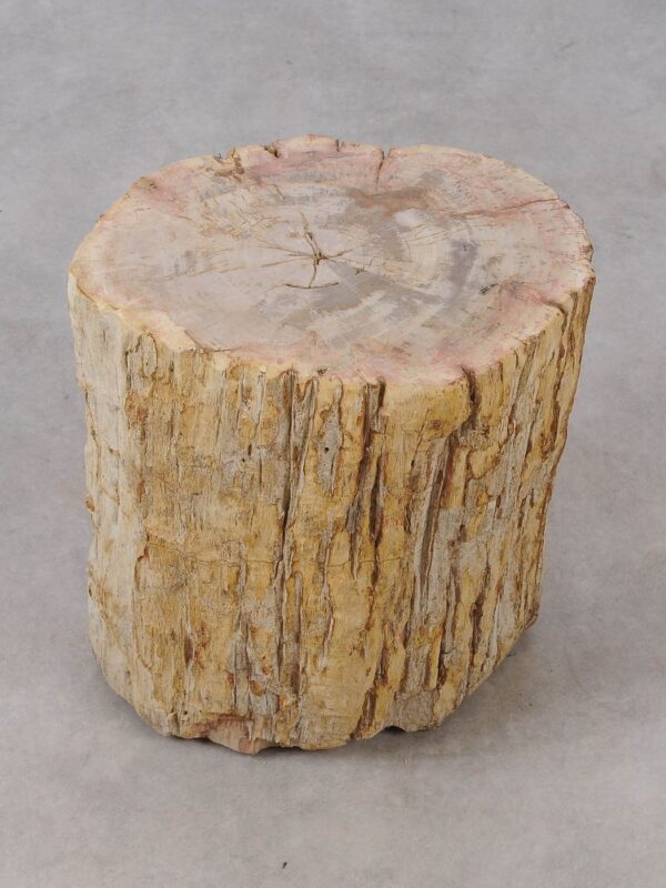 Side table petrified wood 53040