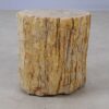 Side table petrified wood 53040