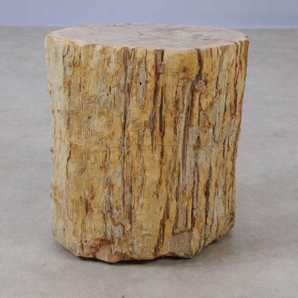 Side table petrified wood 53040