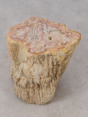 Side table petrified wood 53041