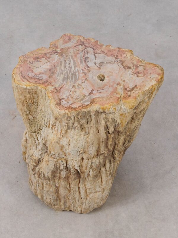 Side table petrified wood 53041