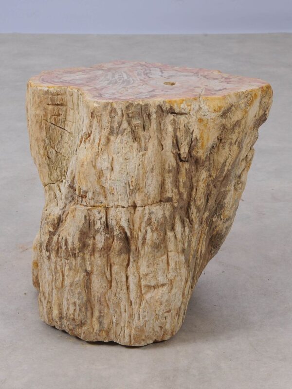 Side table petrified wood 53041