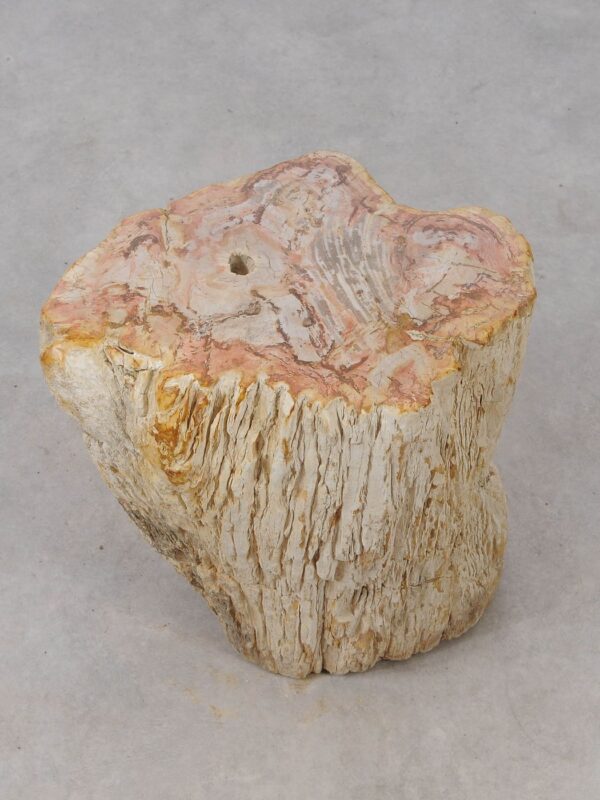 Side table petrified wood 53041