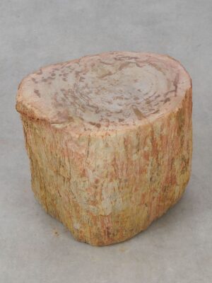 Side table petrified wood 53043