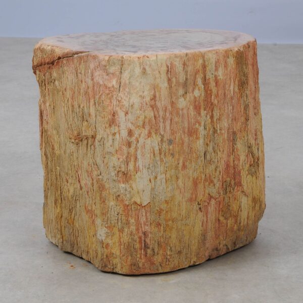 Side table petrified wood 53043