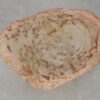 Side table petrified wood 53043