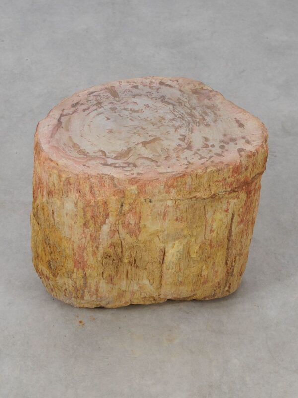 Side table petrified wood 53043