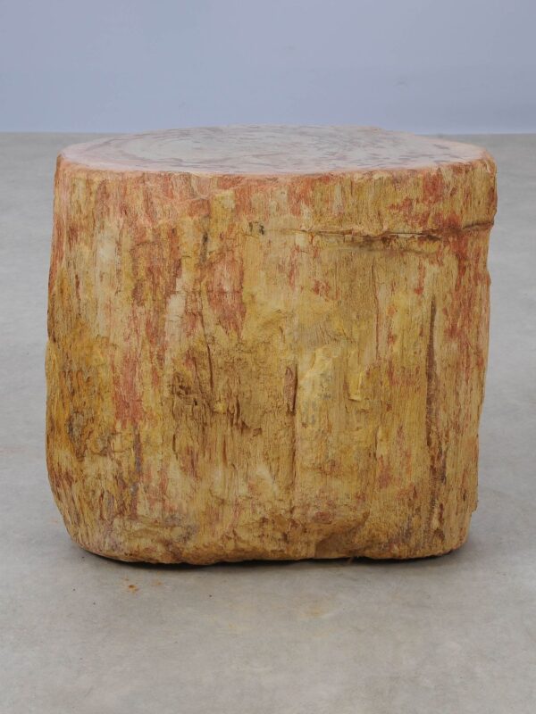 Side table petrified wood 53043