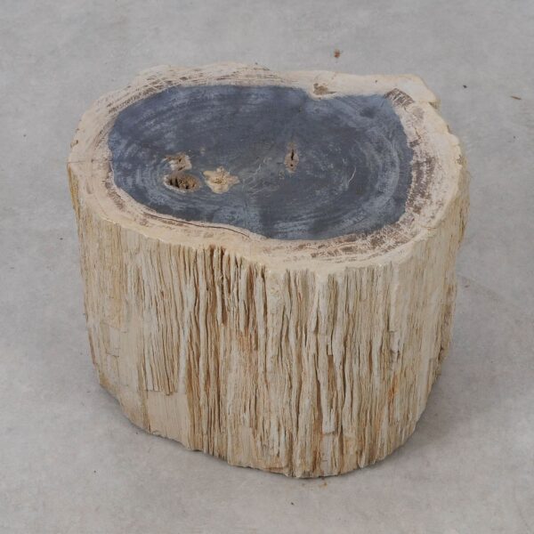 Side table petrified wood 53044