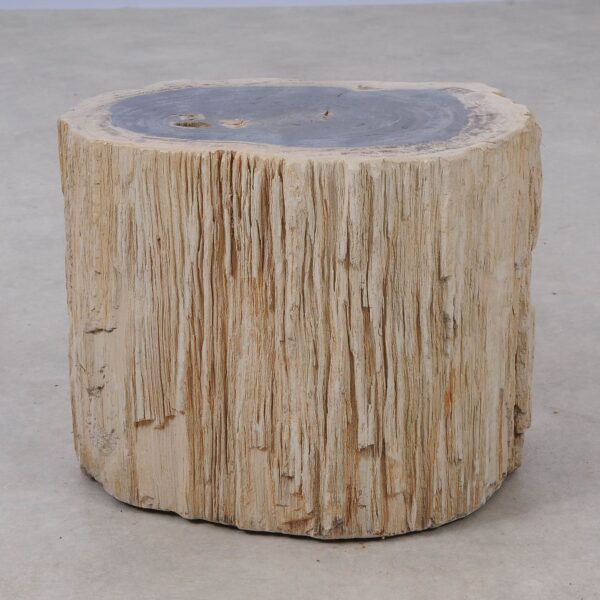 Side table petrified wood 53044