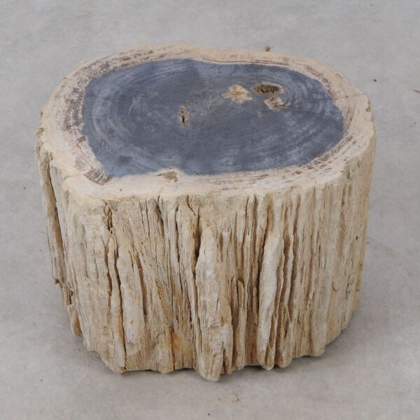 Side table petrified wood 53044