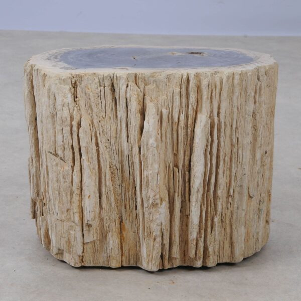 Side table petrified wood 53044