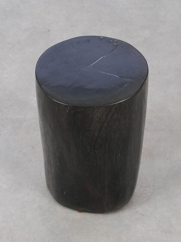 Side table petrified wood 53452