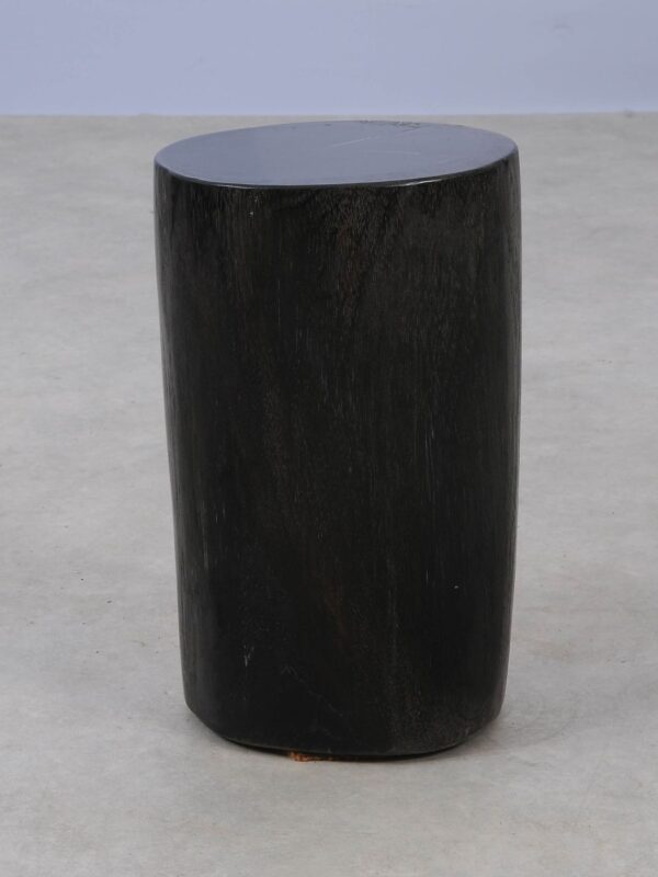 Side table petrified wood 53452